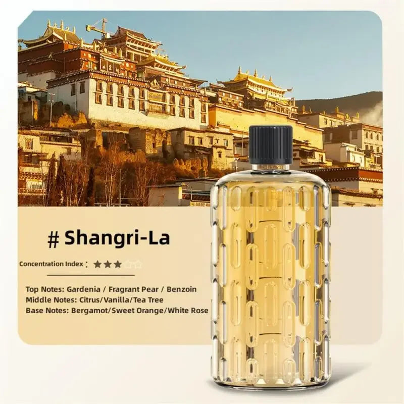 Diffuseur Aromatique Élégant