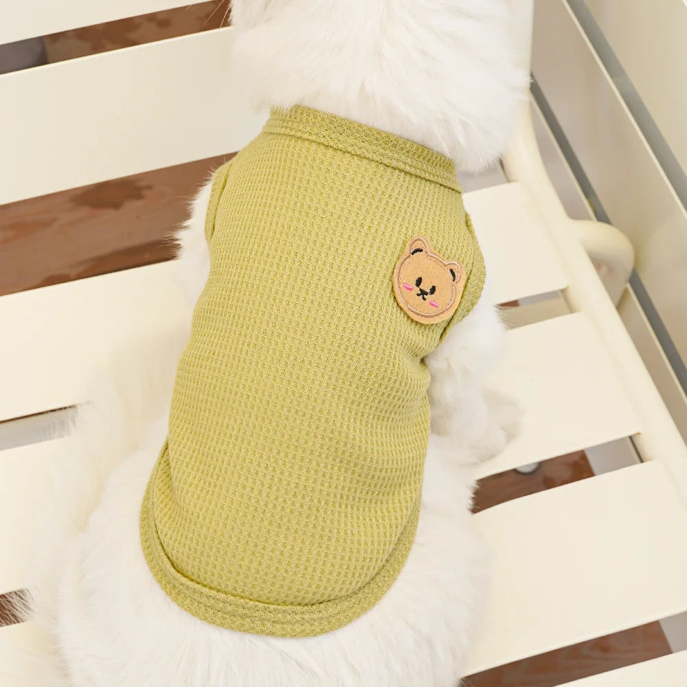 Gilet Ours Douillet Pour Chat