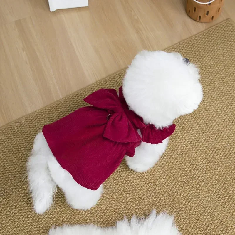 Tenue Princesse Pour Chat