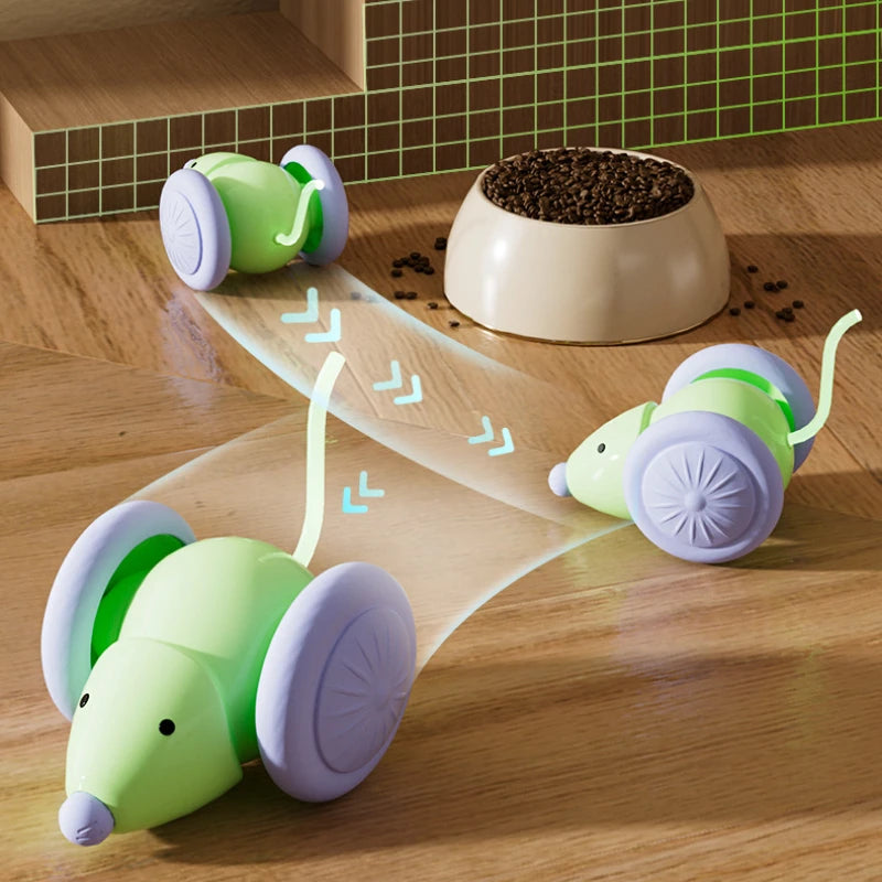 Voiture Souris Interactive