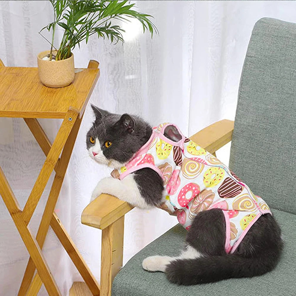 Combinaison Récupération Pour Chat