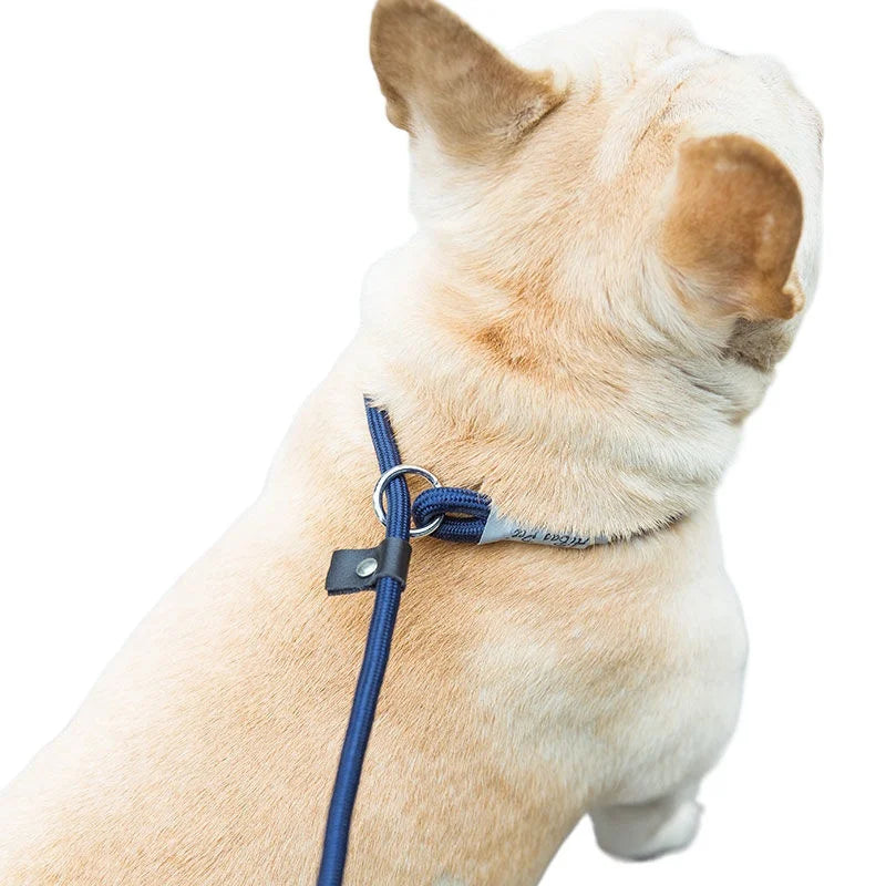 Laisse Corde Réglable Pour Chien