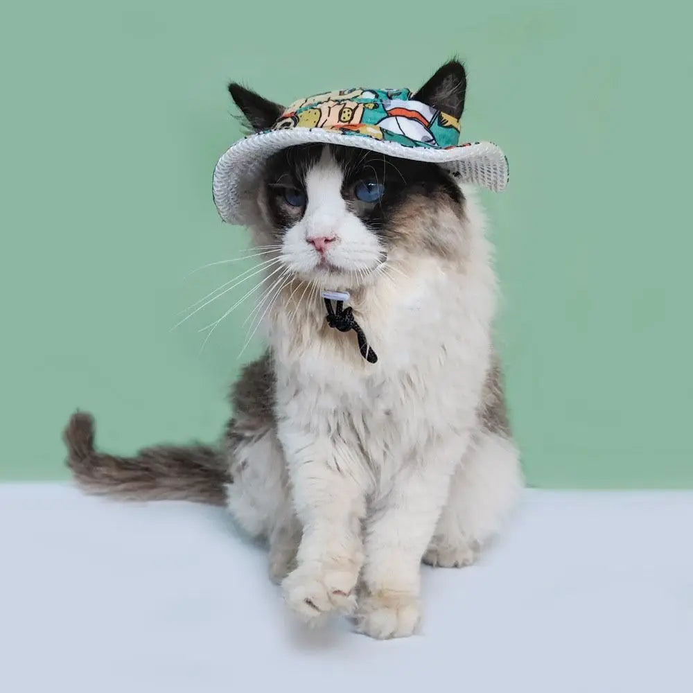 Chapeau Soleil Pour Animaux