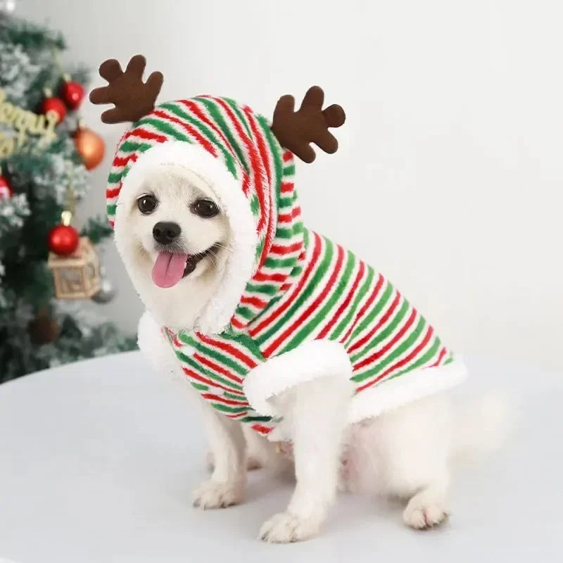 Pull Noël Chaud Pour Chien