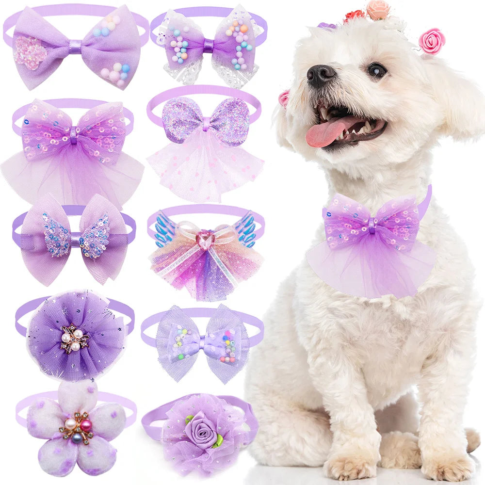 Nœuds Élégants Pour Animaux