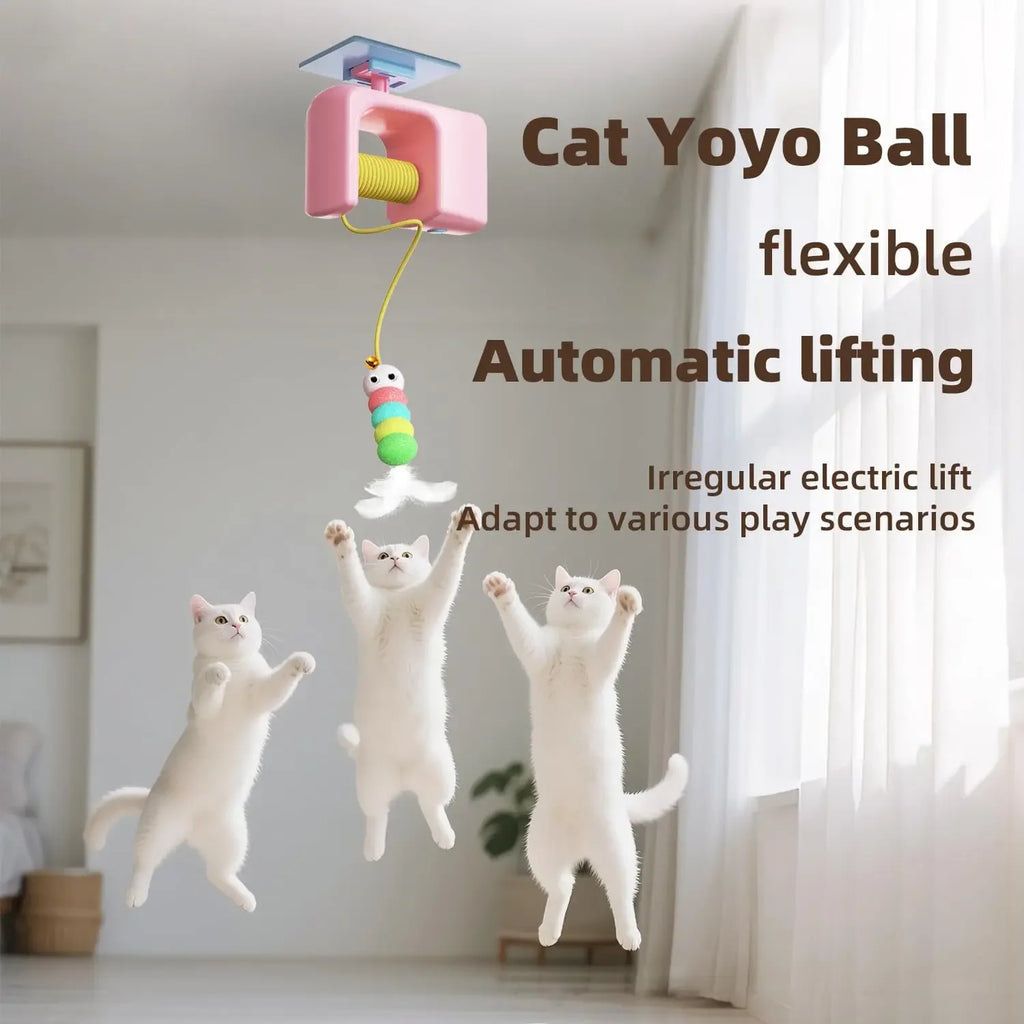 Balle Électrique Interactive