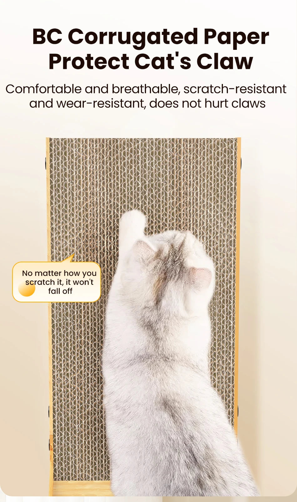 Griffoir L ROJECO pour Chat