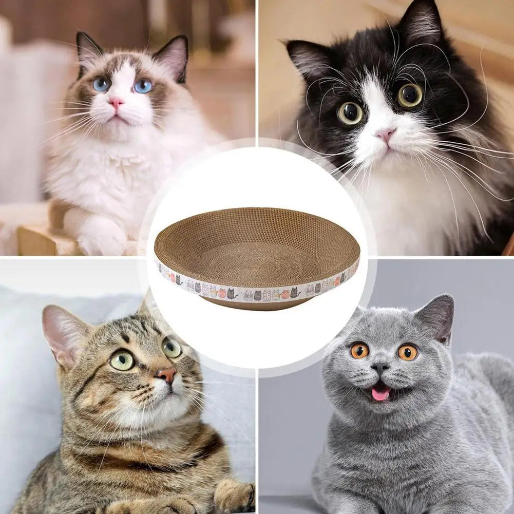 Griffoir Carton Anti-Griffes