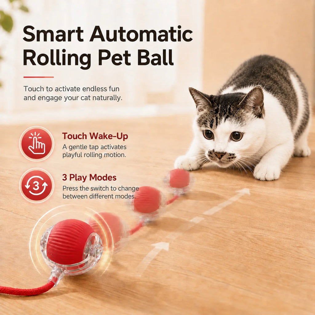 Jolie Balle Intelligente Pour Chat