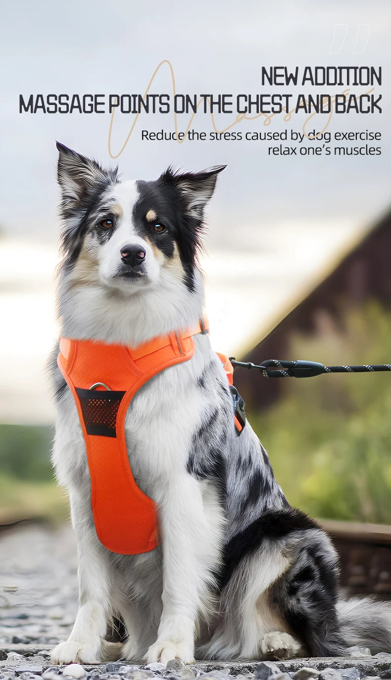 Harnais Chien Anti-Traction