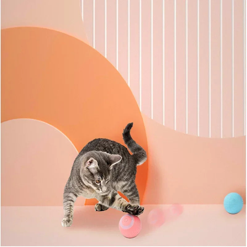 Balle Intelligente Pour Chat