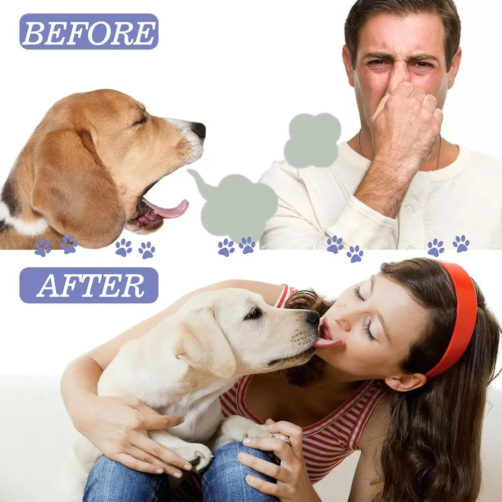 Spray Bucco-Dentaire pour Animaux