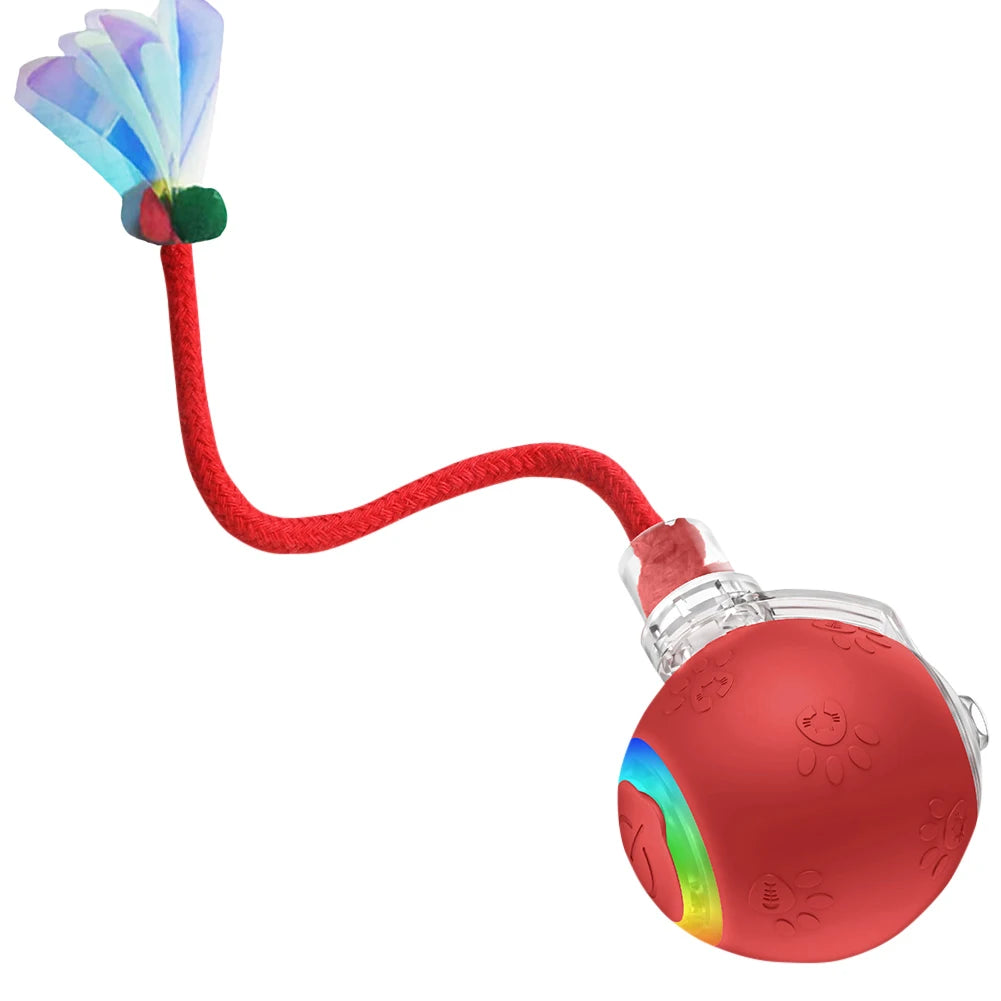 Balle Interactive Pour Chat