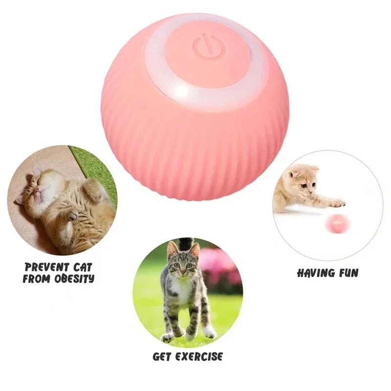 Balle Intelligente Pour Chat