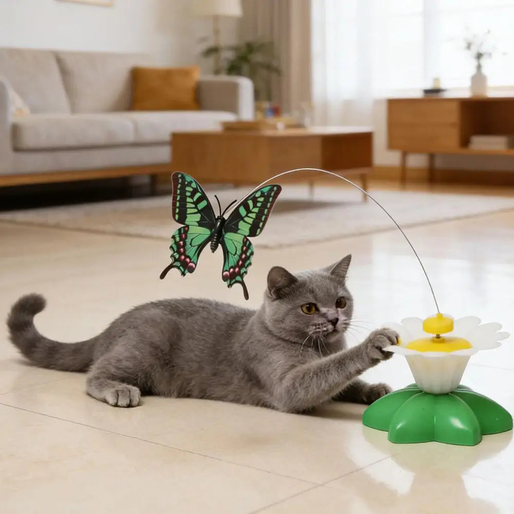 Papillon Volant Interactif