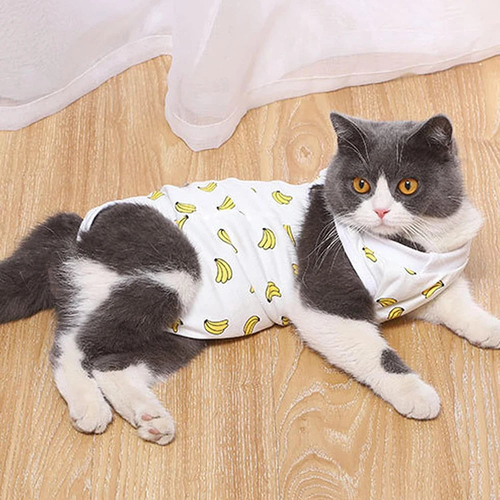 Combinaison Récupération Pour Chat