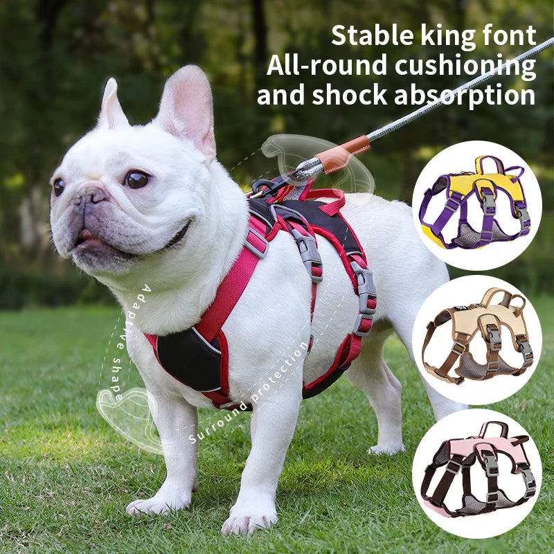 Harnais Bulldog Anti-Traction