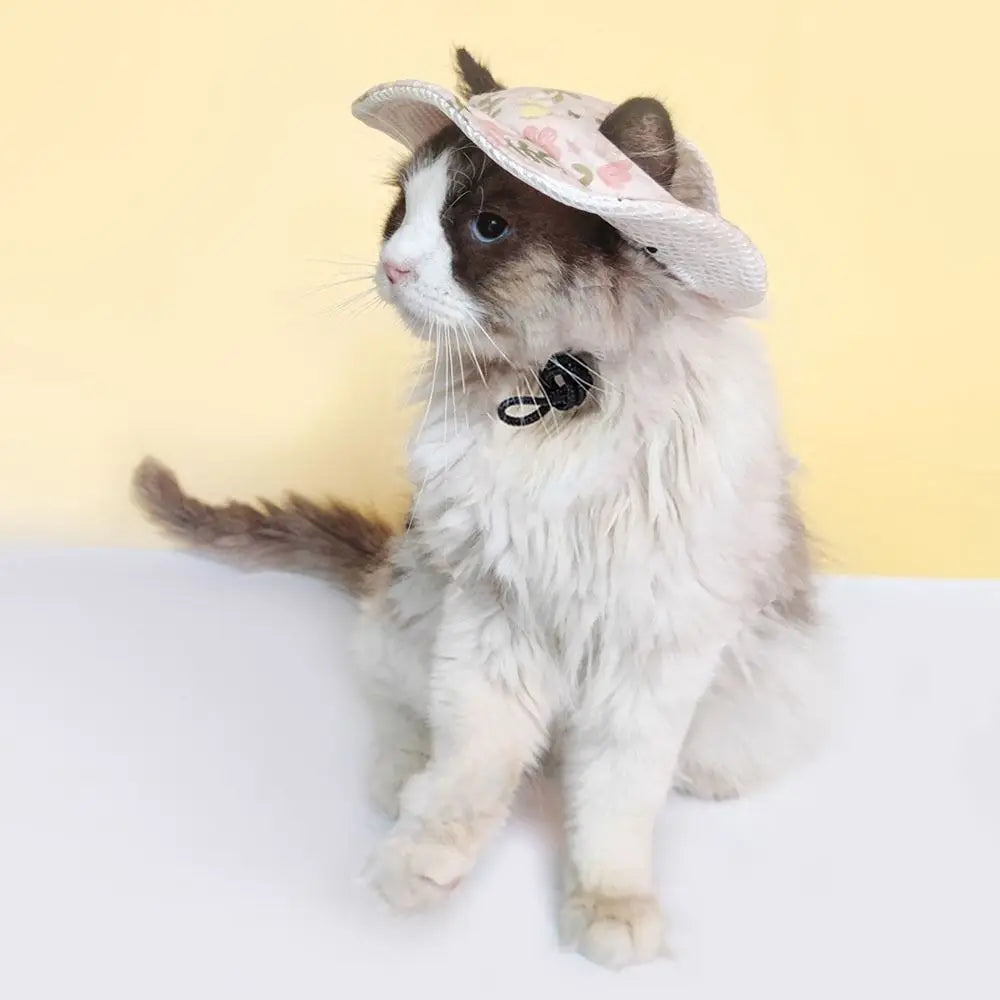 Chapeau Soleil Pour Animaux