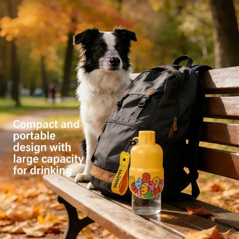 Gourde Eau Pour Animaux