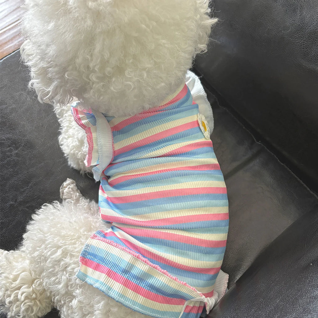 Robe Fleurie Pour Petit Chien