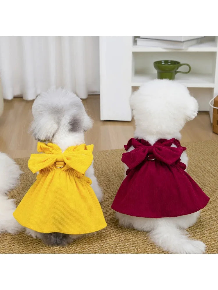 Tenue Princesse Pour Chat