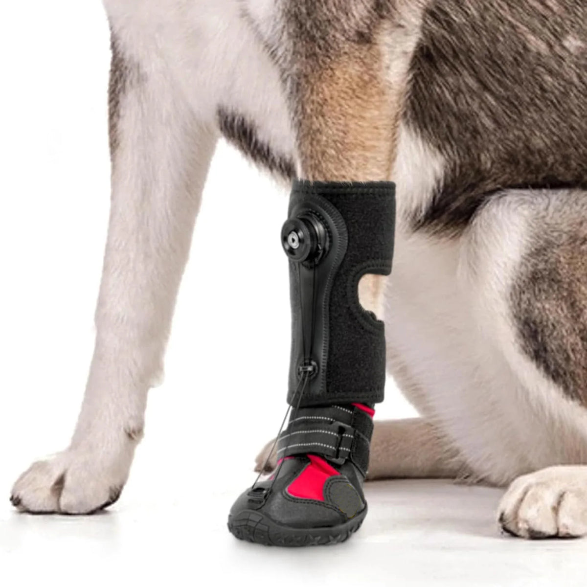 Chaussures Protection Pattes Chien