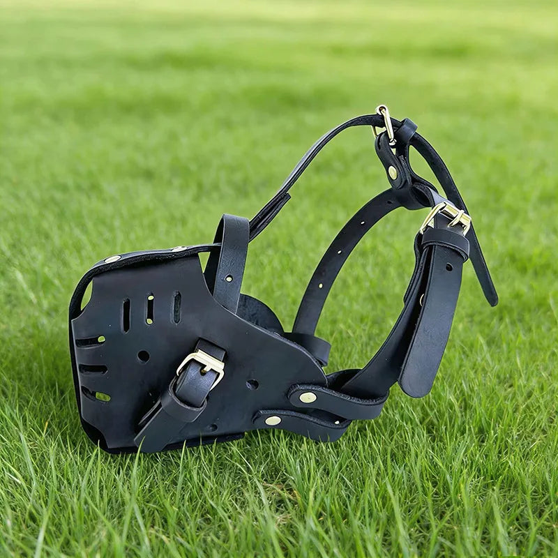 Muselière Confort pour Chiens