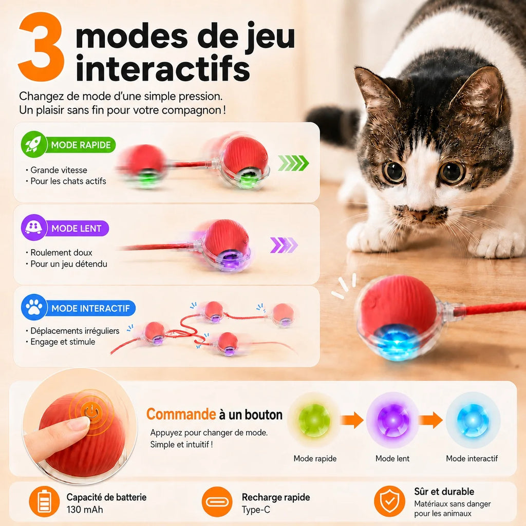 Jolie Balle Intelligente Pour Chat