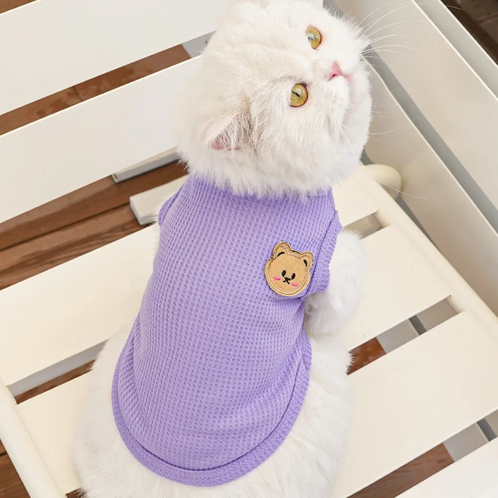 Gilet Ours Douillet Pour Chat