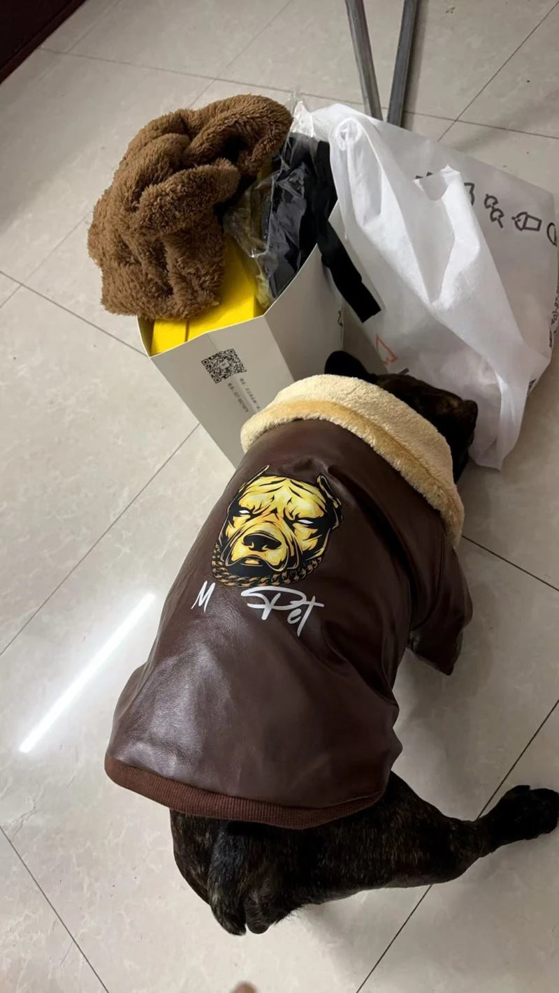 Manteau Hiver Pour Chien