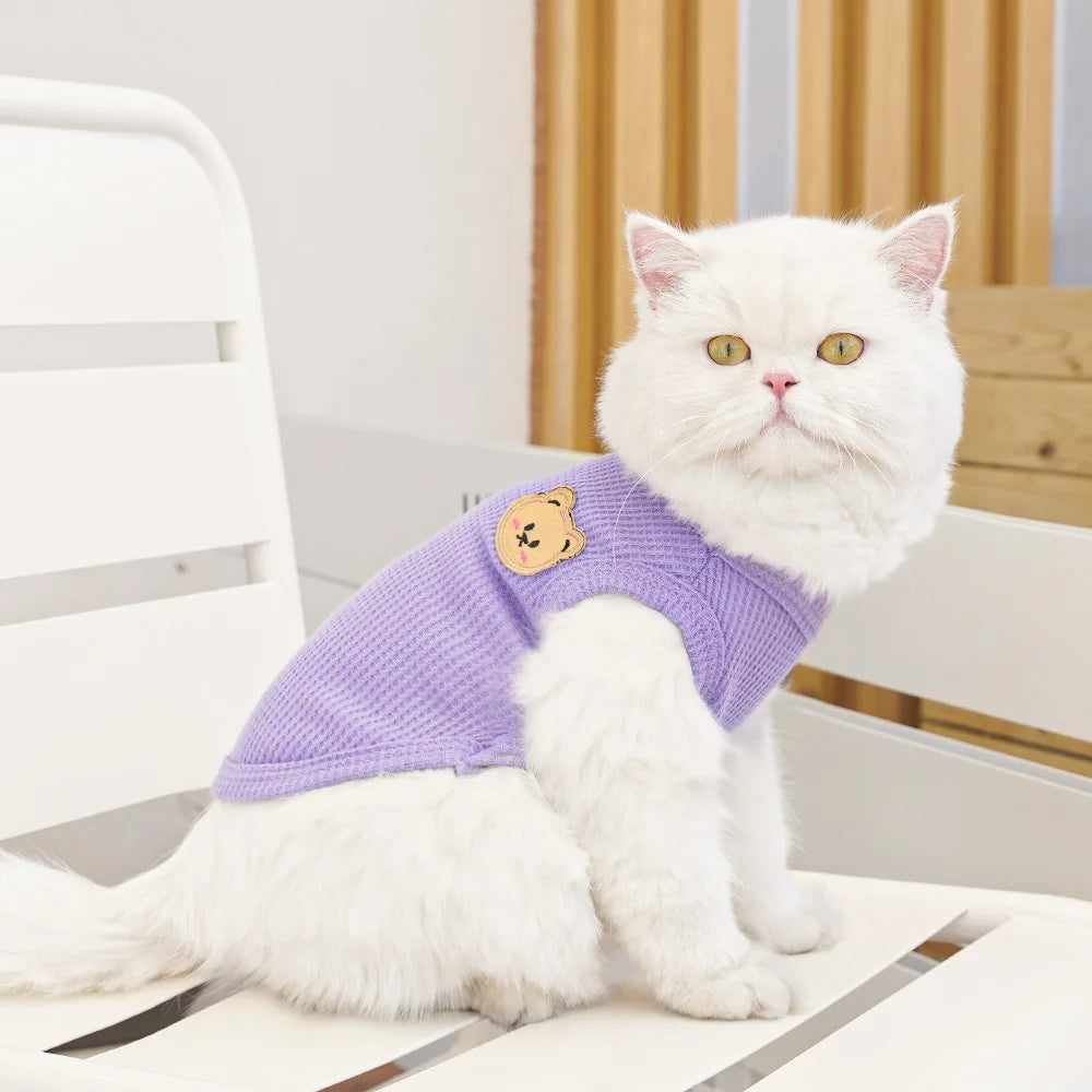 Gilet Ours Douillet Pour Chat
