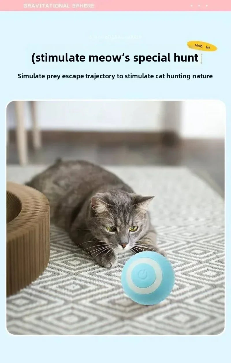 Balle Intelligente Pour Chat