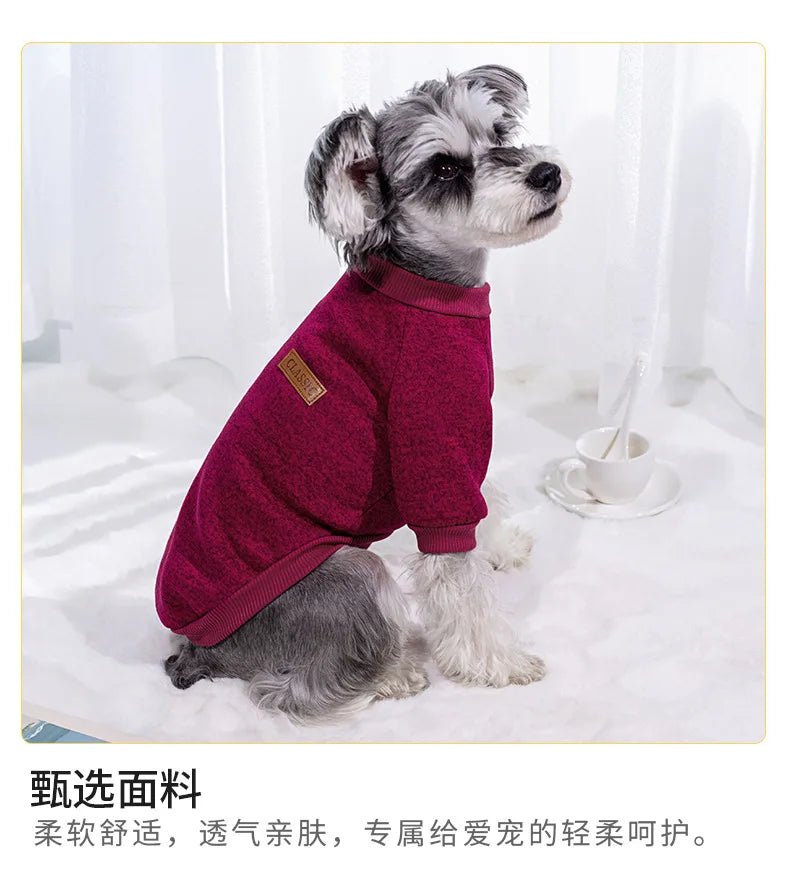 Pull Chaud Pour Chien
