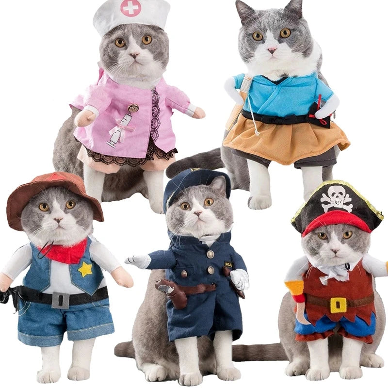 Costume Rigolo Pour Chat