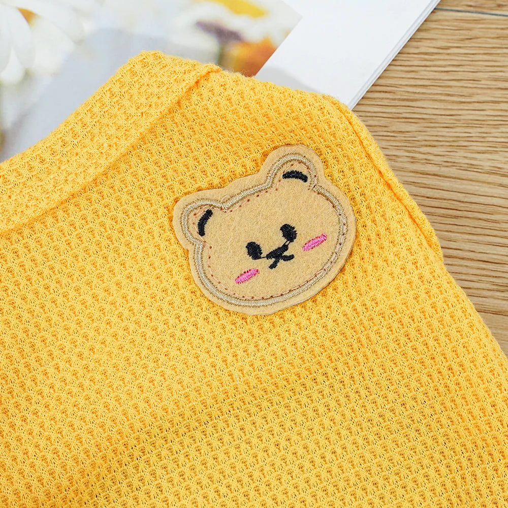 Gilet Ours Douillet Pour Chat