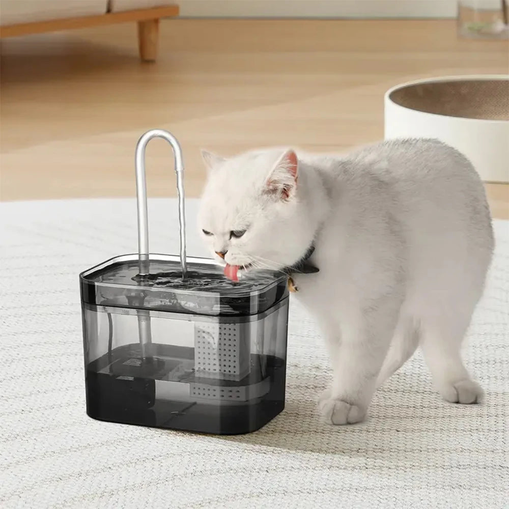 Fontaine Transparent pour Chat