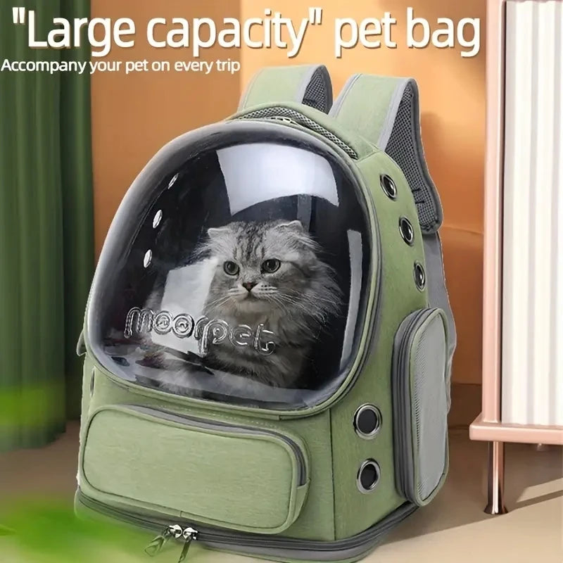 Sac Bubble Transport Chat