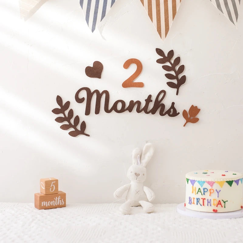 Baby Milestone Cards Soft Felt 0-12 Monthly Milestones Memorial Commemorativenir Photography Accessories For Newborn Birth Gift