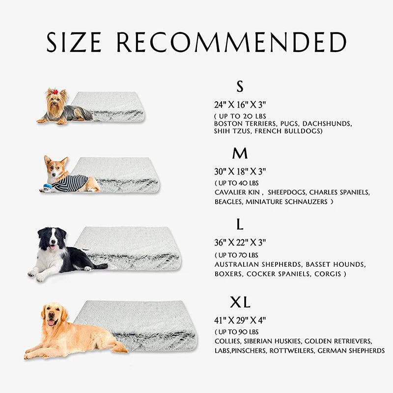 Cocon Douillet pour Animaux