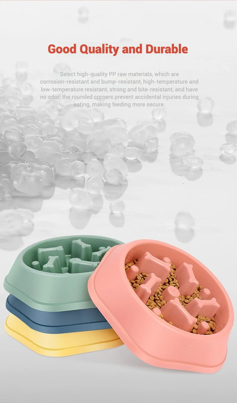 Gamelle Slow Feeder