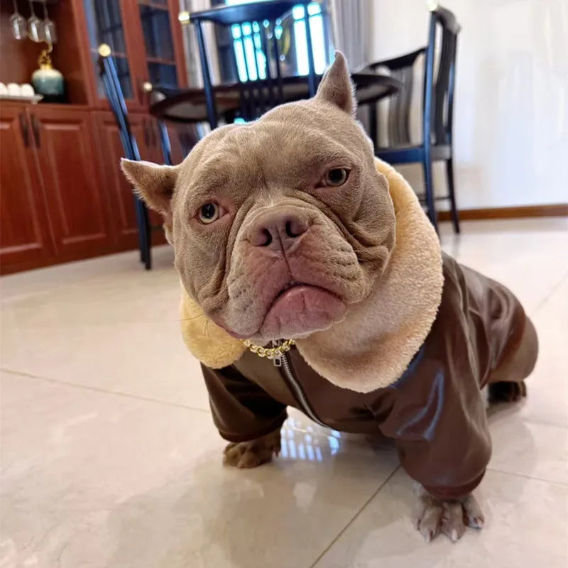 Manteau Hiver Pour Chien