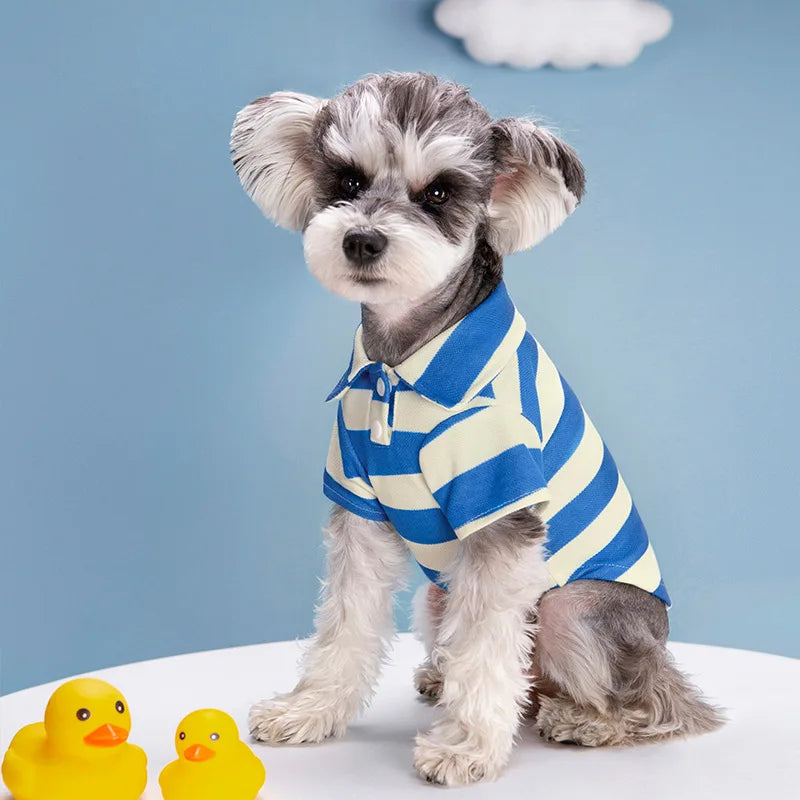 Polo Estival pour Animaux