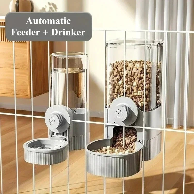 Balle Intelligente Pour Chat