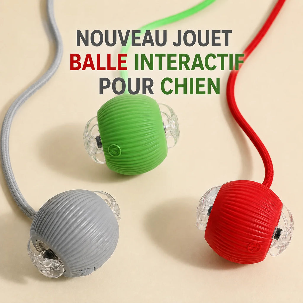 Balle Interactive Intelligente