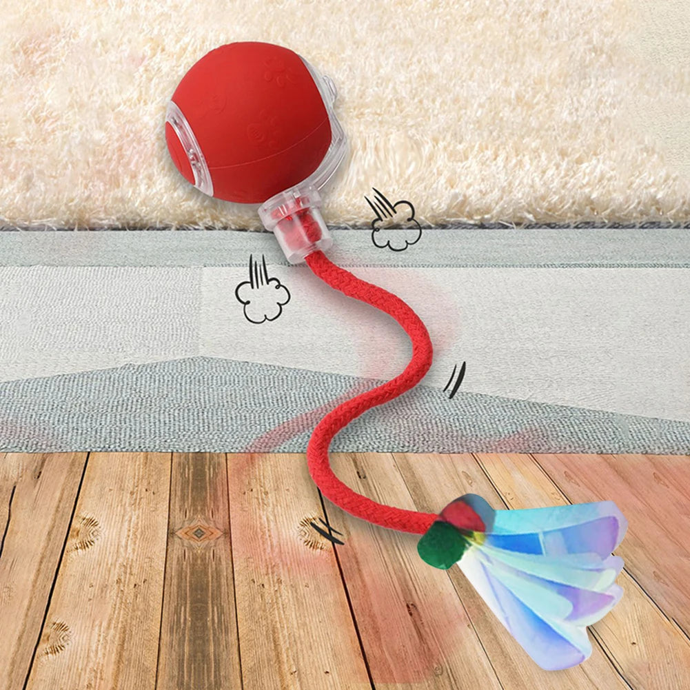 Balle Interactive Pour Chat