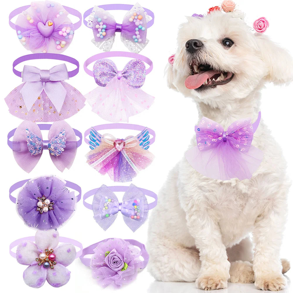 Nœuds Élégants Pour Animaux