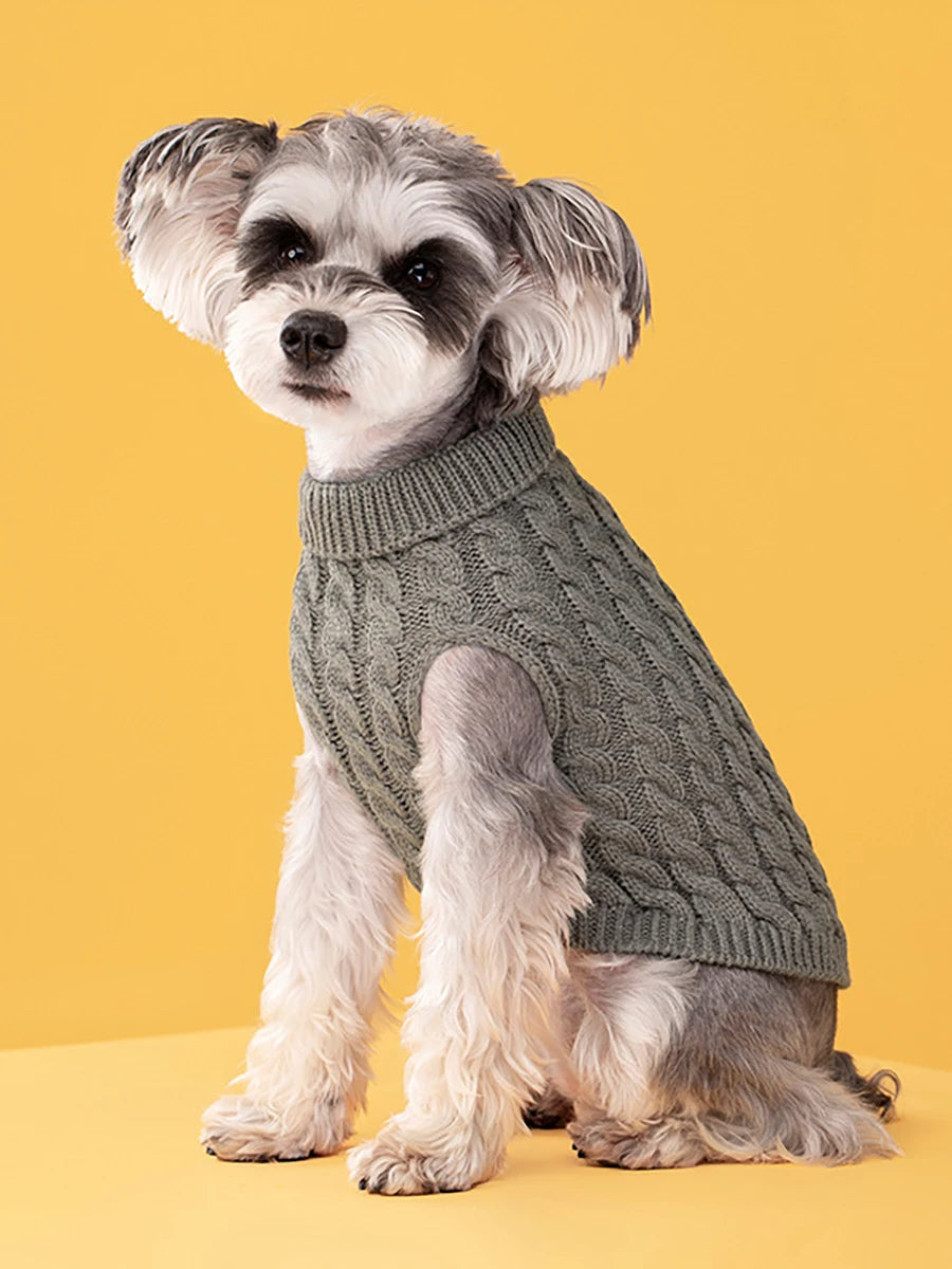 Pull Douillet Pour Petit Chien