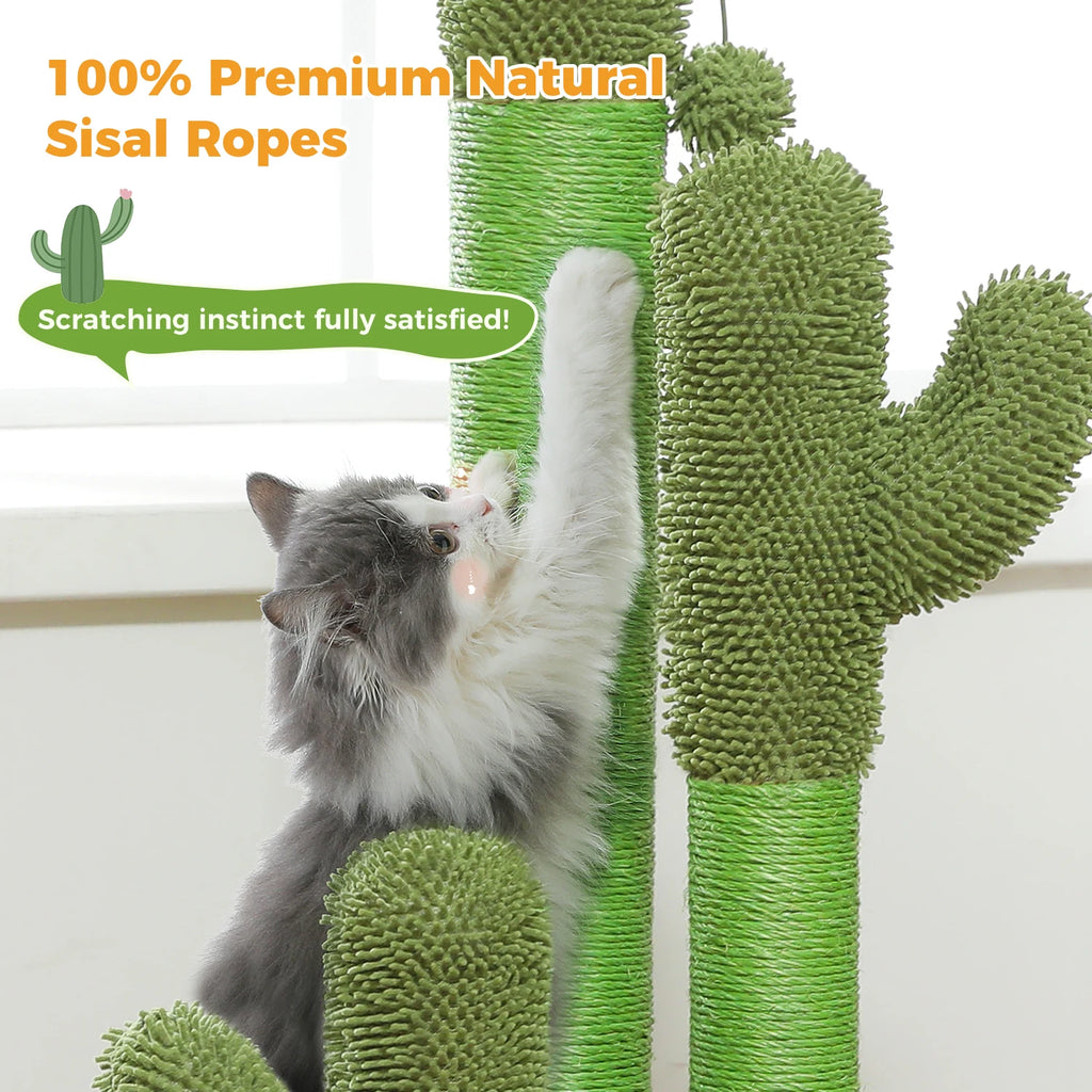 Griffoir Cactus Pour Chat