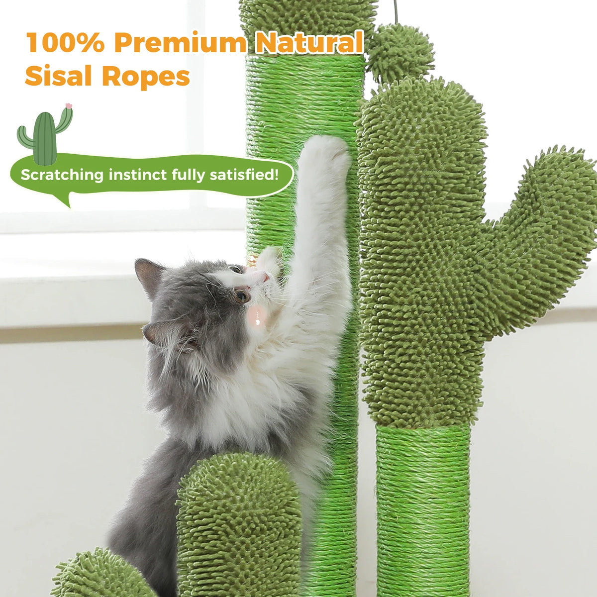 Griffoir Cactus Pour Chat