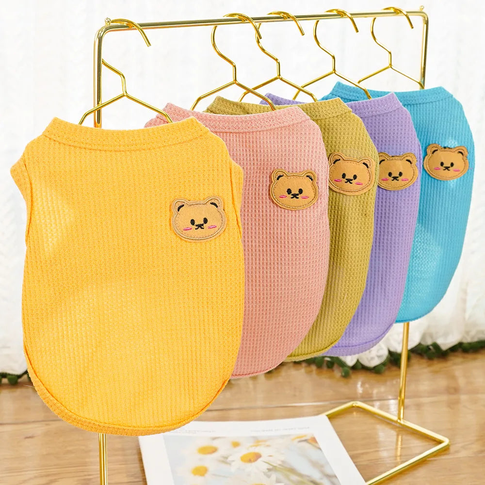 Gilet Ours Douillet Pour Chat
